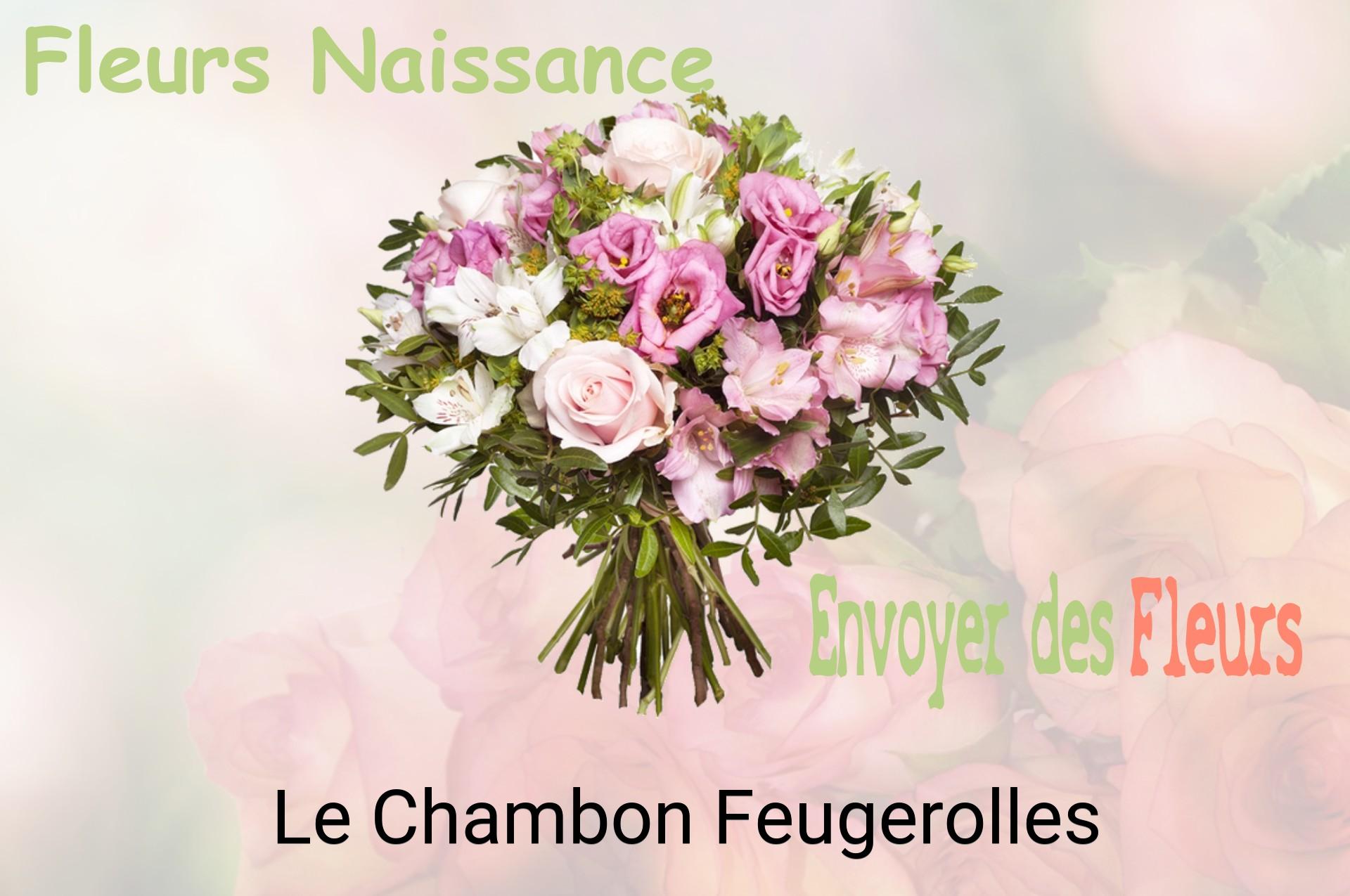 Bouquet de fleurs de naissance livré à Le Chambon-Feugerolles