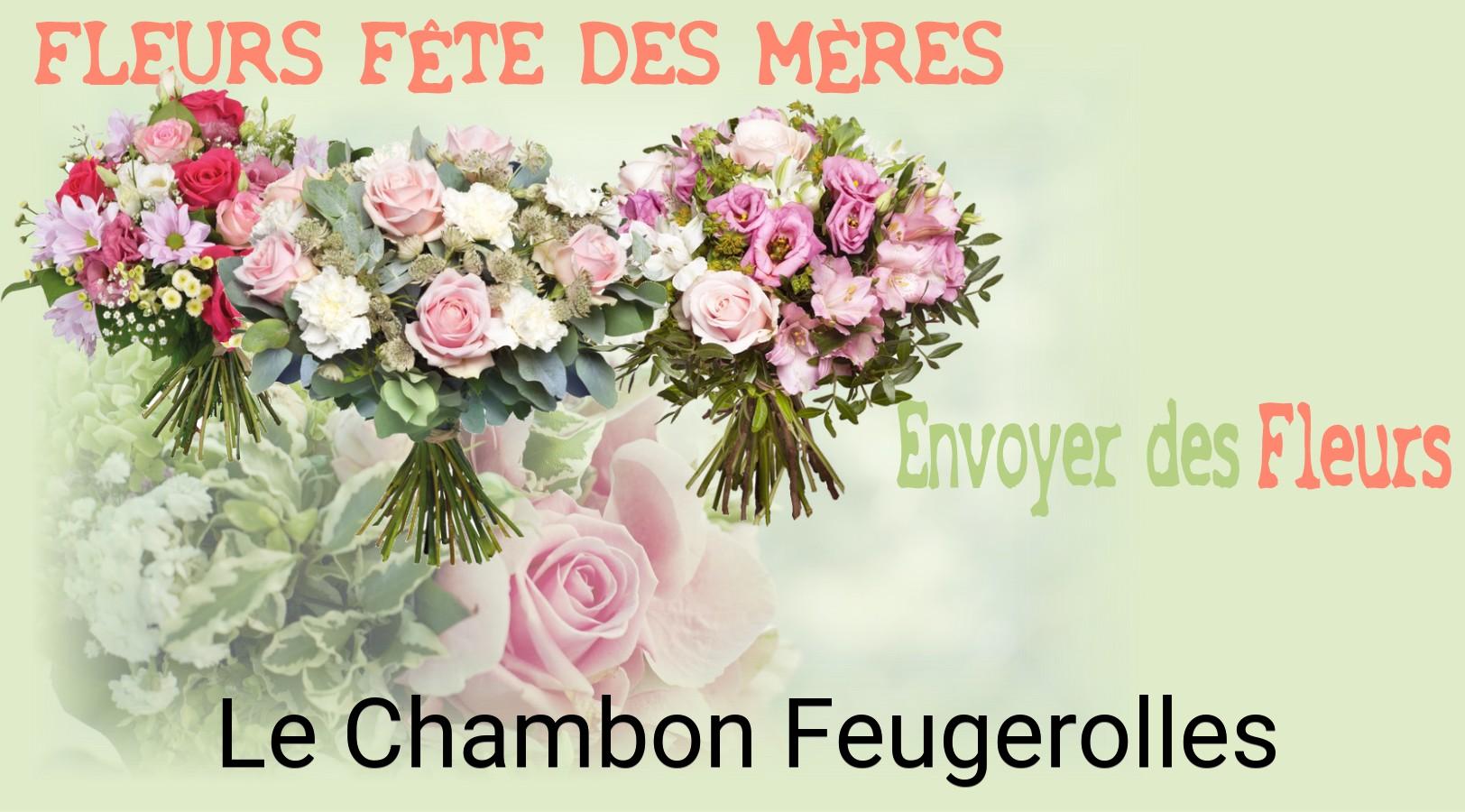 Bouquet de Fête des Mères livré à Le Chambon-Feugerolles